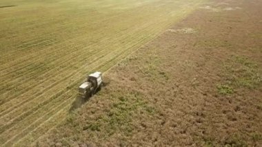 Buğday tarlasını hasat eden hasatçının hava görüntüsü. İHA görünümünden tarım.