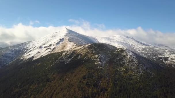 High Mountain Peaks Covered Autumn Spruce Forest High Snowy Summits — Stock Video