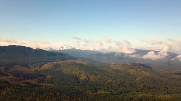 Vzdušný Pohled Majestátní Hory Pokryté Zeleným Smrkovým Lesem Vysokými Zasněženými — Stock video