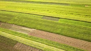 Tohum ekme mevsiminden sonra taze bitki örtüsüyle ilkbaharda yeşil tarım alanlarının havadan görünüşü.