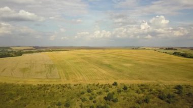 Sarı yamalı tarım arazileri ve beyaz bulutlu mavi gökyüzü olan havadan kırsal alan..