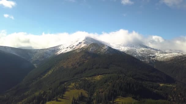 Vista Aérea Majestuosas Montañas Cubiertas Bosque Abetos Verdes Altos Picos — Vídeos de Stock