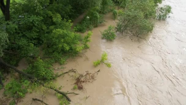 Dirty River Muddy Water Flooding Period Heavy Rains Spring — Stock Video