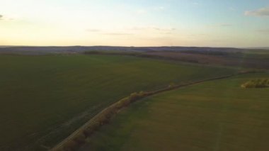 Parlak yeşil tarım tarlasının havadan görünüşü. Gün batımında büyüyen kolza bitkileri ve toprak toprak toprak yol..
