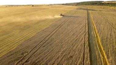 Buğday tarlasını hasat eden hasatçının havadan görünüşü. İHA görünümünden tarım.