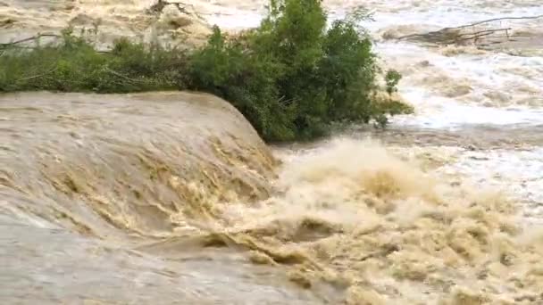 春の大雨による洪水期の濁った川 — ストック動画