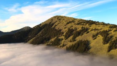 Parlak güneşli bir günde, beyaz yoğun bulutların üzerinde ladin ormanlarıyla kaplı büyük bir dağın havadan görünüşü..