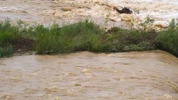 Smutsig Flod Med Lerigt Vatten Översvämningsperioden Kraftiga Regn Våren — Stockvideo