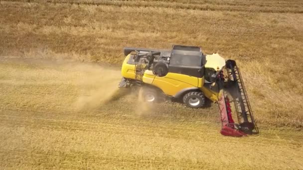 Vista Aérea Cosechadora Cosechadora Cosechadora Grande Campo Trigo Maduro Agricultura — Vídeos de Stock