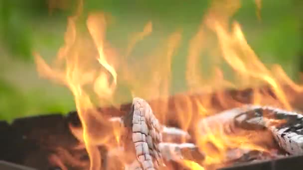 Zbliżenie Jaskrawo Płonących Drewnianych Kłód Żółtymi Gorącymi Płomieniami Ognia — Wideo stockowe