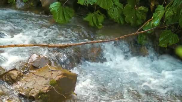 Close Van Kleine Bergbeekje Met Helder Blauw Water Stroomt Tussen — Stockvideo