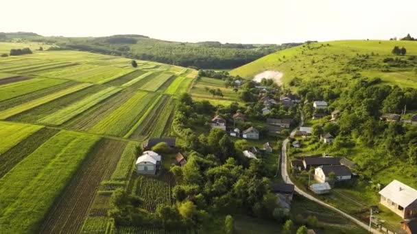 Widok Lotu Ptaka Małą Wioskę Domkami Wśród Zielonych Drzew Polami — Wideo stockowe