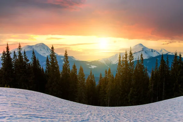 Величний Вигляд Карпатських Гір Заході Сонця Долина Вкрита Чистим Снігом — стокове фото