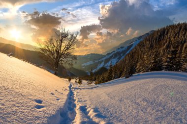 İnsan ayak izi yolu beyaz, derin kar içinde, boş tarlalarda, odunsu, karanlık dağ sıraları ve gün batımında hafif bir parıltıyla..