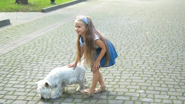 Menina Criança Brincando Com Cão Branco Uma Rua — Fotografia de Stock