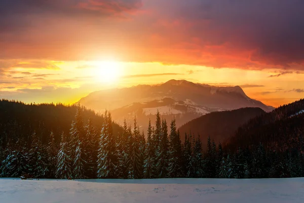 Зимовий Пейзаж Високими Вершинами Туманною Долиною Під Яскравим Барвистим Заходом — стокове фото