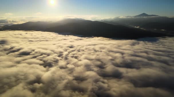 Luftfoto Stort Bjerg Dækket Med Granskov Hvide Tætte Skyer Lyse – Stock-video