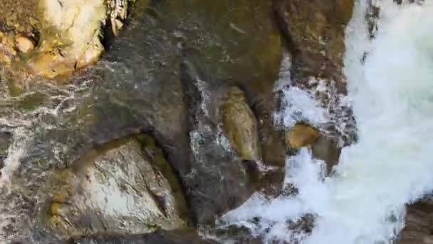 Top Luchtfoto Van Kleine Bergbeekjes Met Snel Bewegend Helder Water — Stockvideo