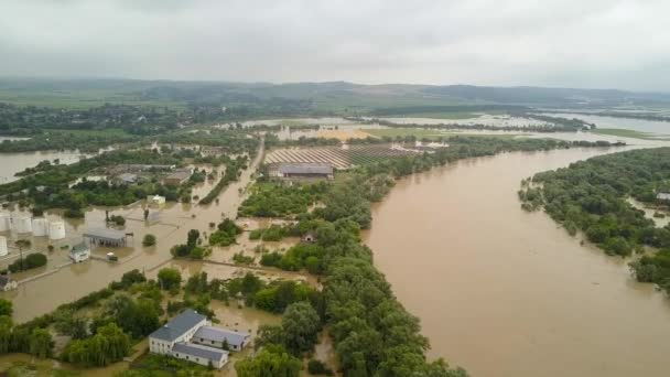 Повітряний Вид Затоплених Будинків Брудною Водою Дністра Місті Халіч Західна — стокове відео