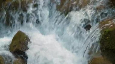 Yaz ormanlarında ıslak taşların arasından akan berrak mavi suyla küçük bir dağ deresine yakın..