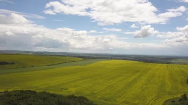 Baharda taze bitki örtüsü olan yeşil tarım alanının havadan görünüşü.