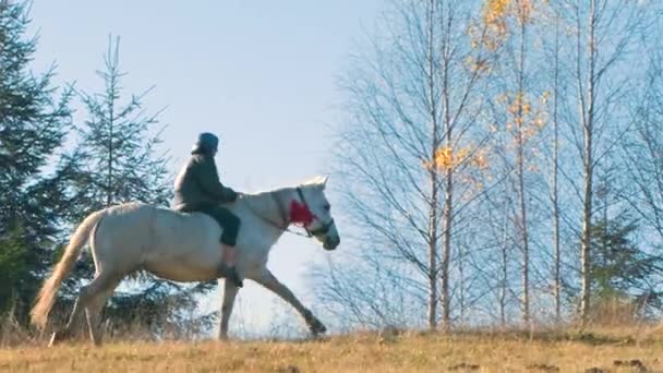 Hombre Montando Caballo Campo Otoño — Vídeo de stock