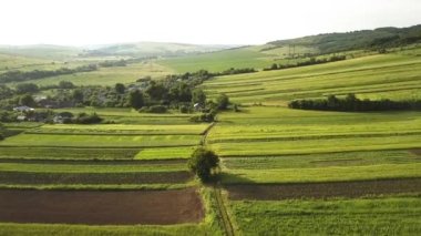 Tohum ekme mevsiminden sonra taze bitki örtüsüyle ilkbaharda yeşil tarım alanlarının havadan görünüşü.