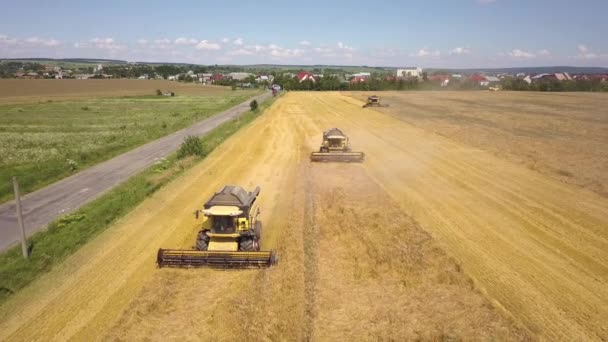 Widok Lotu Ptaka Kombajn Zbożowy Duże Dojrzałe Pole Pszenicy — Wideo stockowe