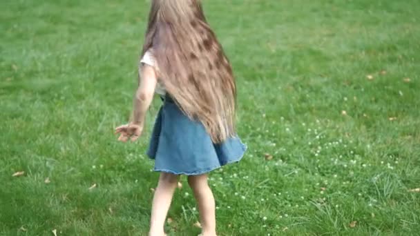 Mała Dziewczynka Zabawy Obracając Się Zielonej Trawie Parku Letnim — Wideo stockowe