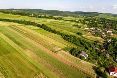 Sıcak, güneşli bir günde tohum ekme mevsiminden sonra taze bitki örtüsüyle ilkbaharda yeşil tarım arazilerinin havadan görünüşü.