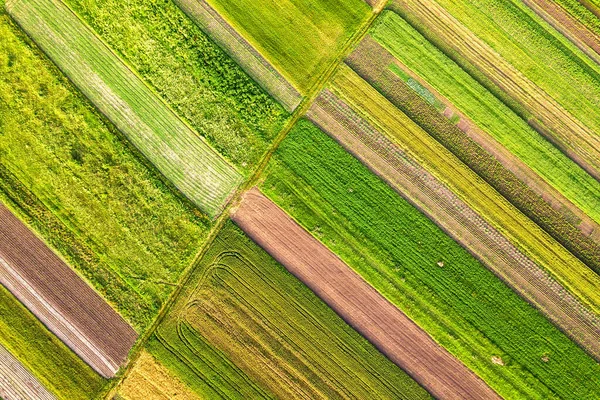 Vista Aérea Campos Agrícolas Verdes Primavera Con Vegetación Fresca Después — Foto de Stock