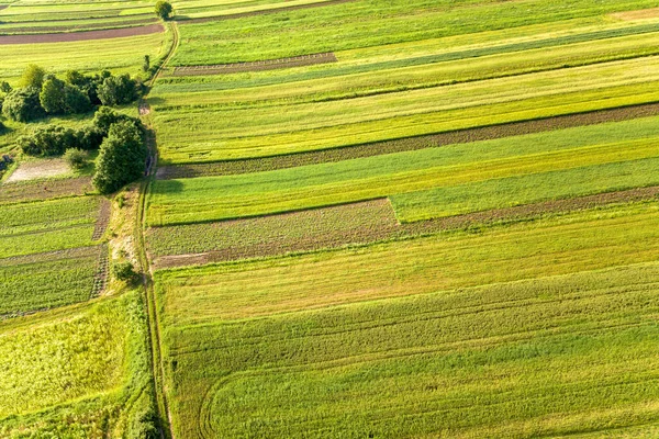 Vista Aérea Campos Agrícolas Verdes Primavera Con Vegetación Fresca Después — Foto de Stock