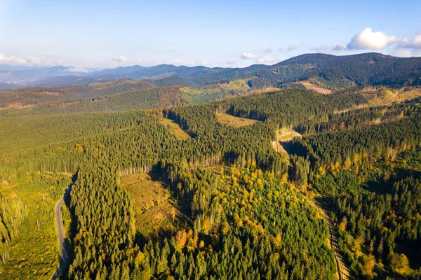 Aerial View Mountain Forest Bare Deforestation Areas Cut Trees — Stock Photo, Image