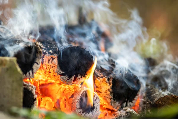 Fényesen Égő Fatörzsek Közelsége Sárga Forró Tűzlángokkal — Stock Fotó