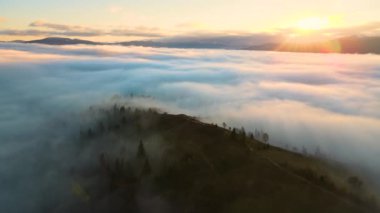 Güneş doğarken dağ tepelerini kaplayan çam ağaçlarıyla dolu sisli ormanın canlı manzarasını izle..