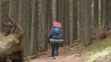 Sırtında sırt çantasıyla karanlık sonbahar ormanlarında yürüyüş yapan bir yürüyüşçü..