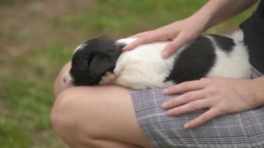 Kucağında küçük bir köpek yavrusu tutan bir kadına yaklaş..
