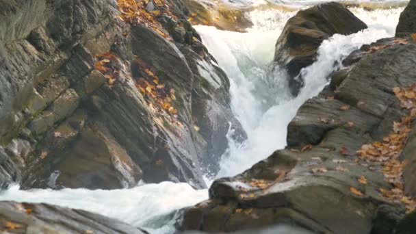 Een Kleine Bergstroom Met Snel Bewegend Helder Water Tussen Rotsachtige — Stockvideo