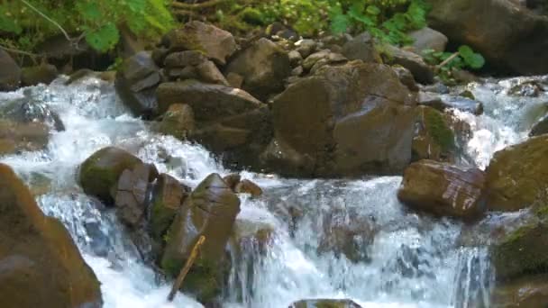 Nahaufnahme Eines Kleinen Gebirgsbaches Mit Klarem Blauem Wasser Das Zwischen — Stockvideo