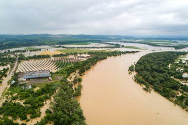 Ukrayna 'nın batısındaki Halych kasabasında kirli su ve sel basmış evlerle Dnister nehrinin hava manzarası..