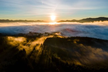 Karanlık, kasvetli çam ağaçlarının tepesinden, ladin sisli ormanında, sonbahar dağlarında, parlak gündoğumu ışınlarıyla parlayan.