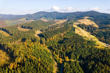 Kesilen ağaçların çıplak orman kesim alanları ile dağ ormanlarının havadan görünüşü.