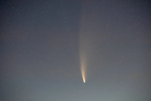 Kometa 2020 Neowise Jasnym Ogonem Ciemnym Nocnym Niebie — Zdjęcie stockowe