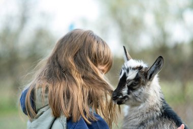 Çiftlik bahçesinde küçük çocuk keçiyle oynayan mutlu bir kız çocuğu..