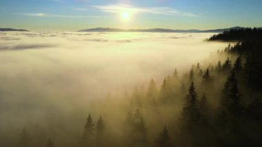 Karanlık dağ ladin ağaçları ile beyaz yoğun bulutlar üzerinde canlı günbatımının havadan görünüşü.