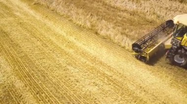 Buğday tarlasını hasat eden hasatçının hava görüntüsü. İHA görünümünden tarım.