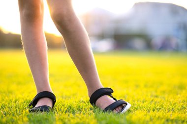 Sıcak yaz akşamında yeşil çimlerin üzerinde duran genç kız bacaklarının yakınlaşması.