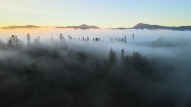 Gün batımında dağları kaplayan çam ağaçları ile sisli ormanın üzerindeki renkli manzaranın havadan görüntüsü.