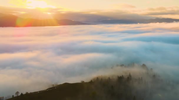 日出时分 雾蒙蒙的森林 松树复盖群山 从上面眺望美丽的风景 — 图库视频影像