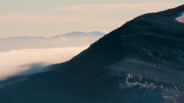 Distantes Colinas Oscuras Montaña Cubiertas Densos Bosques Pinos Rodeadas Blancas — Vídeos de Stock